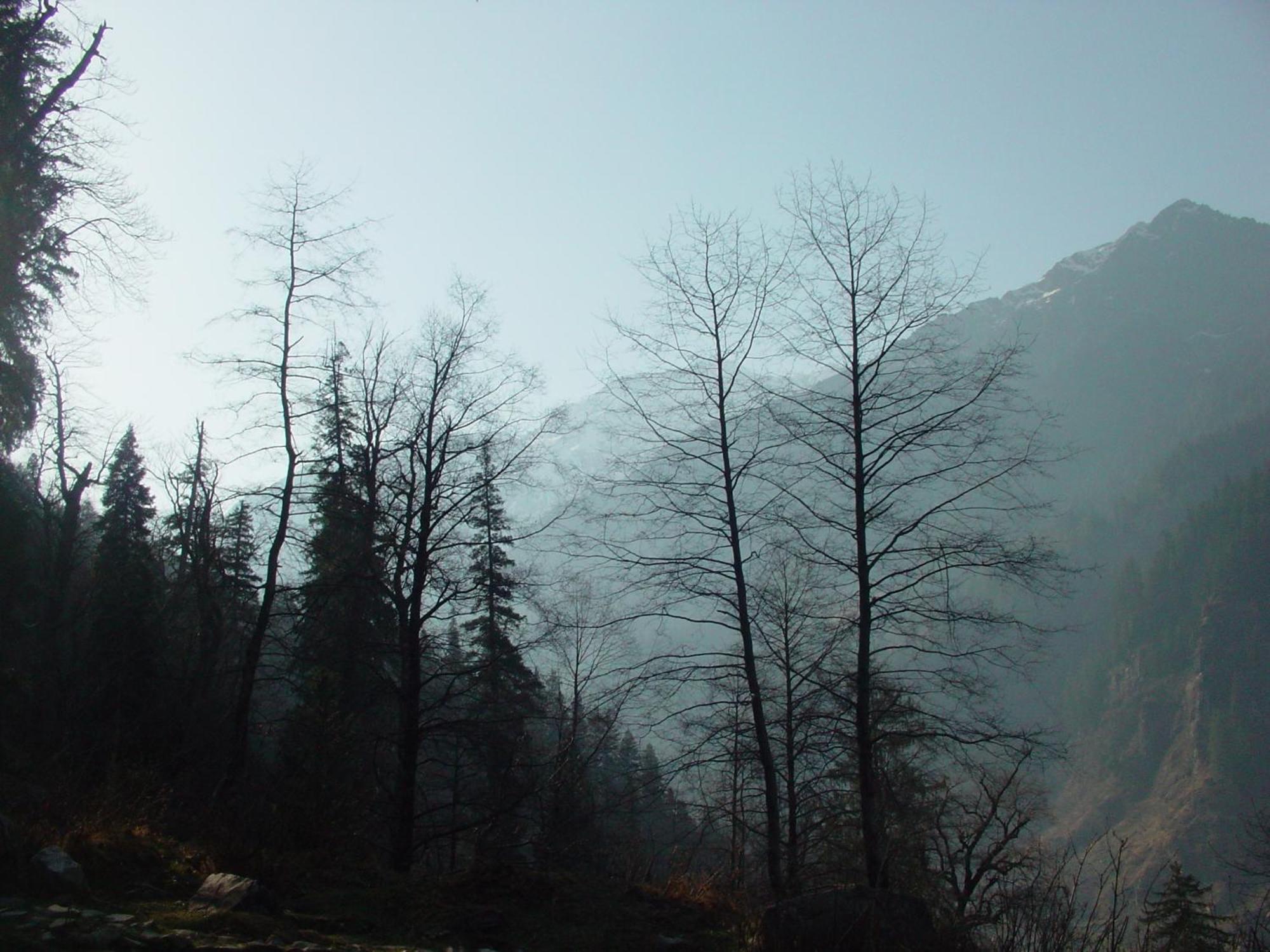 Banon Resorts Manāli Dış mekan fotoğraf