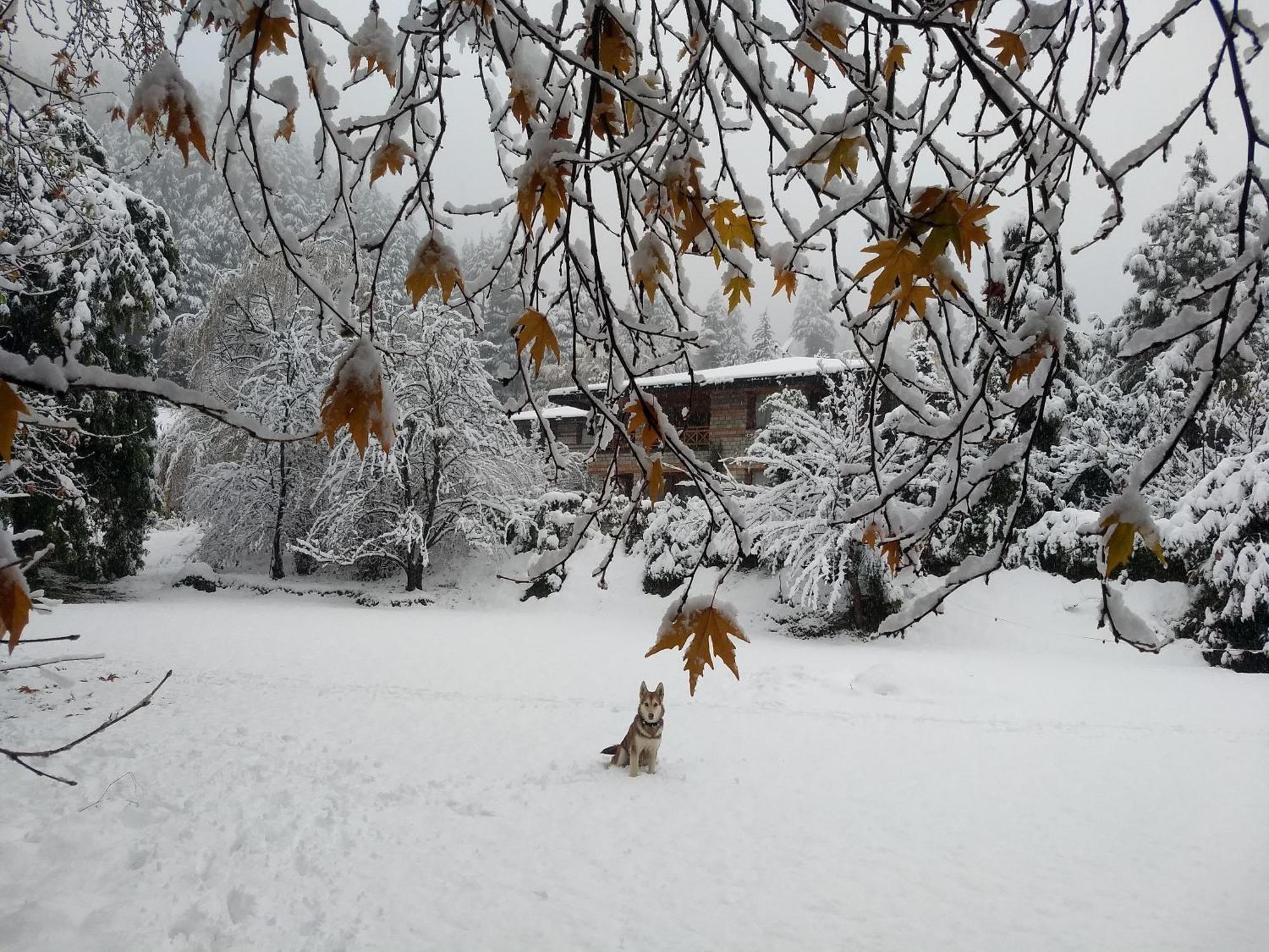 Banon Resorts Manāli Dış mekan fotoğraf