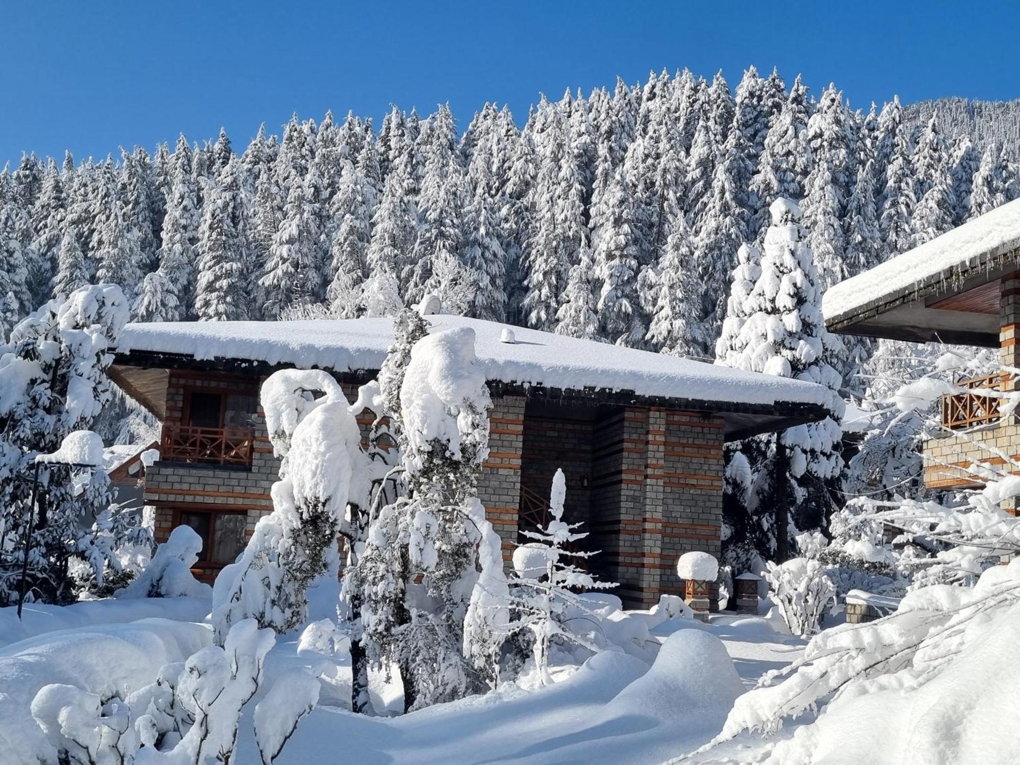Banon Resorts Manāli Dış mekan fotoğraf