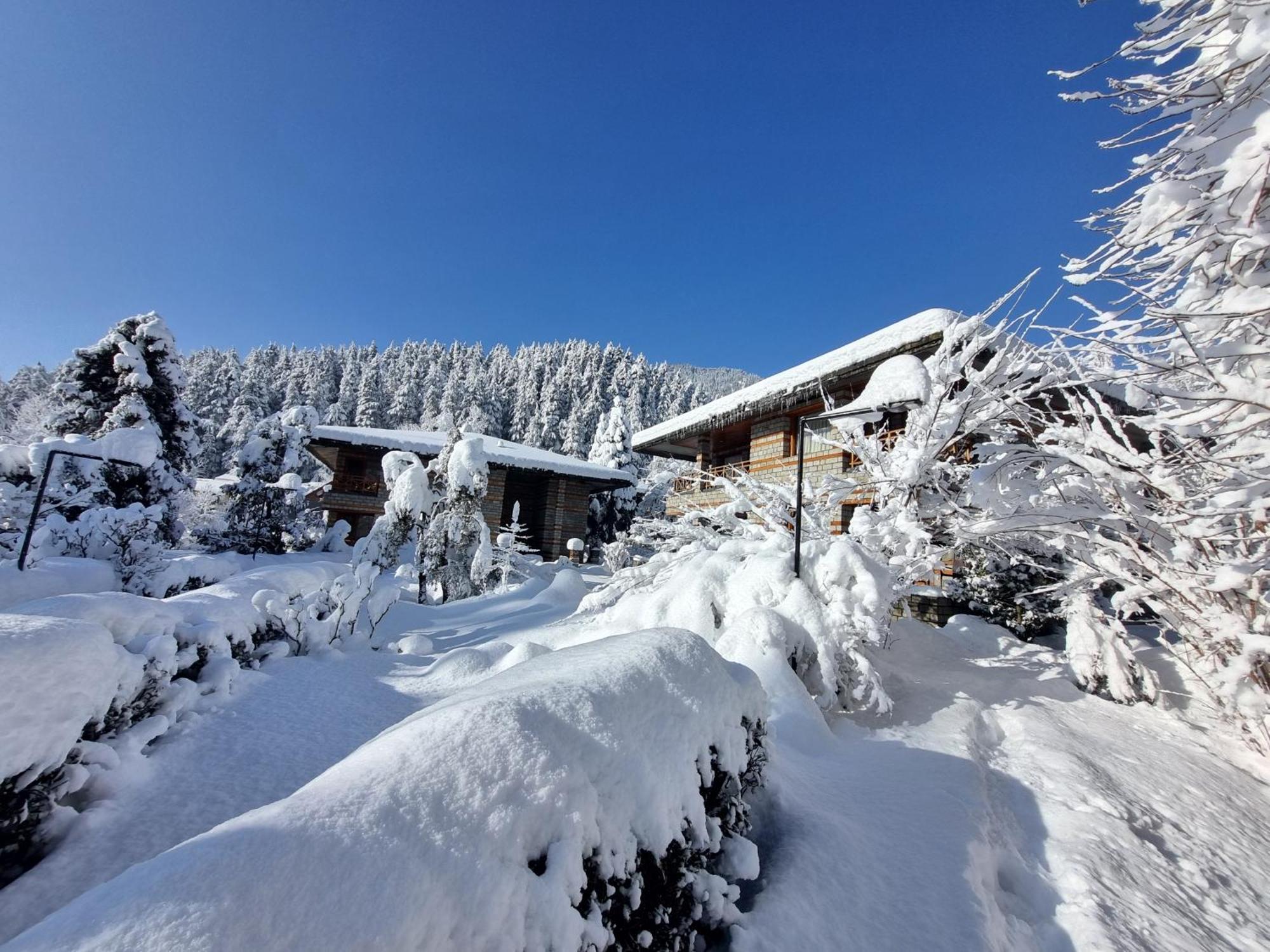 Banon Resorts Manāli Dış mekan fotoğraf