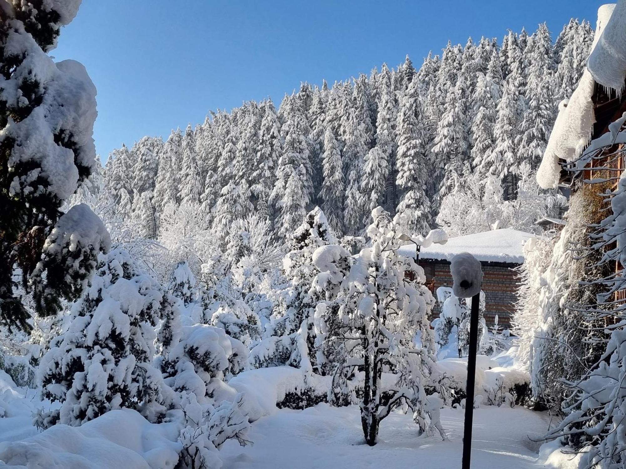 Banon Resorts Manāli Dış mekan fotoğraf