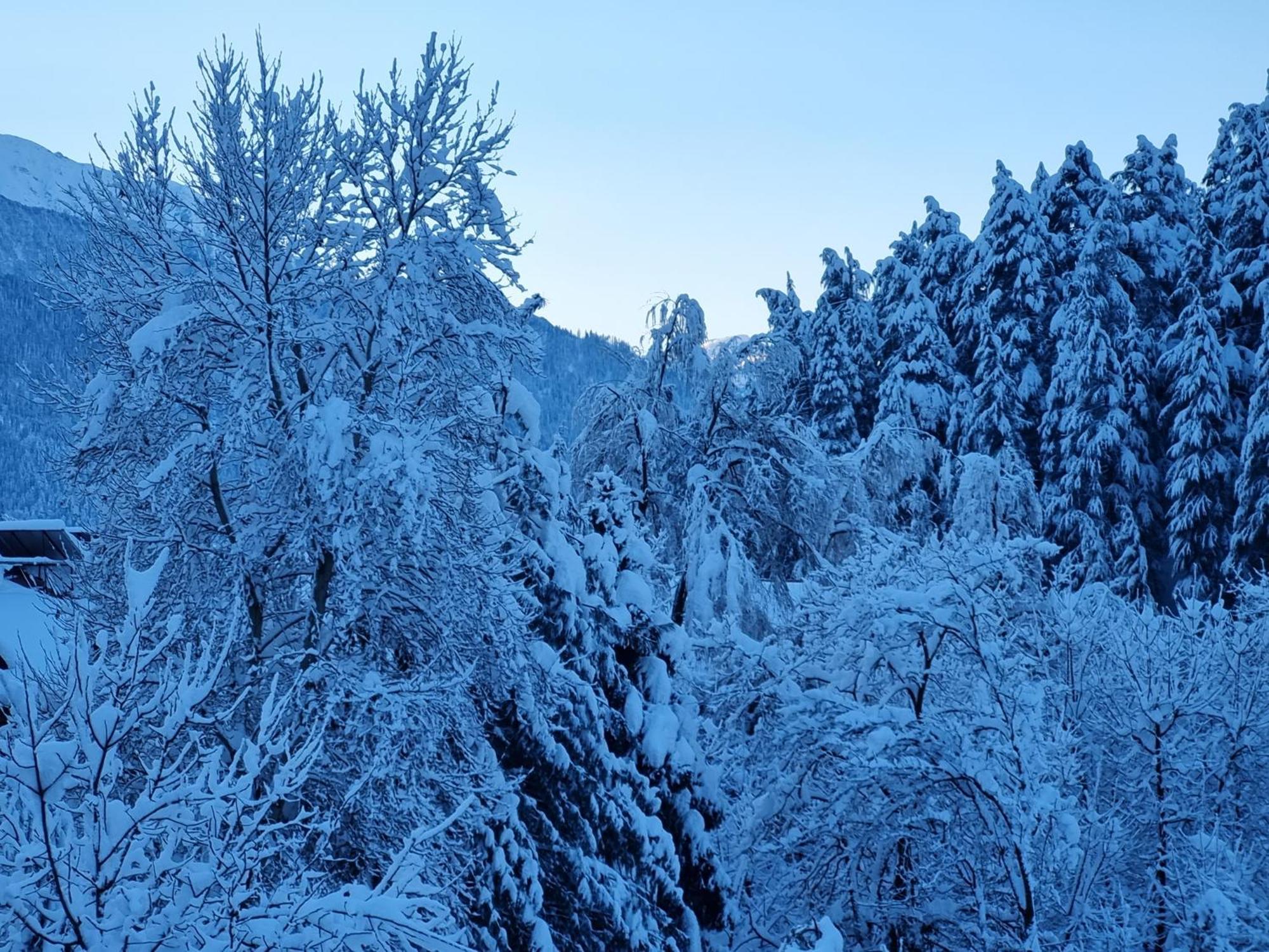 Banon Resorts Manāli Dış mekan fotoğraf