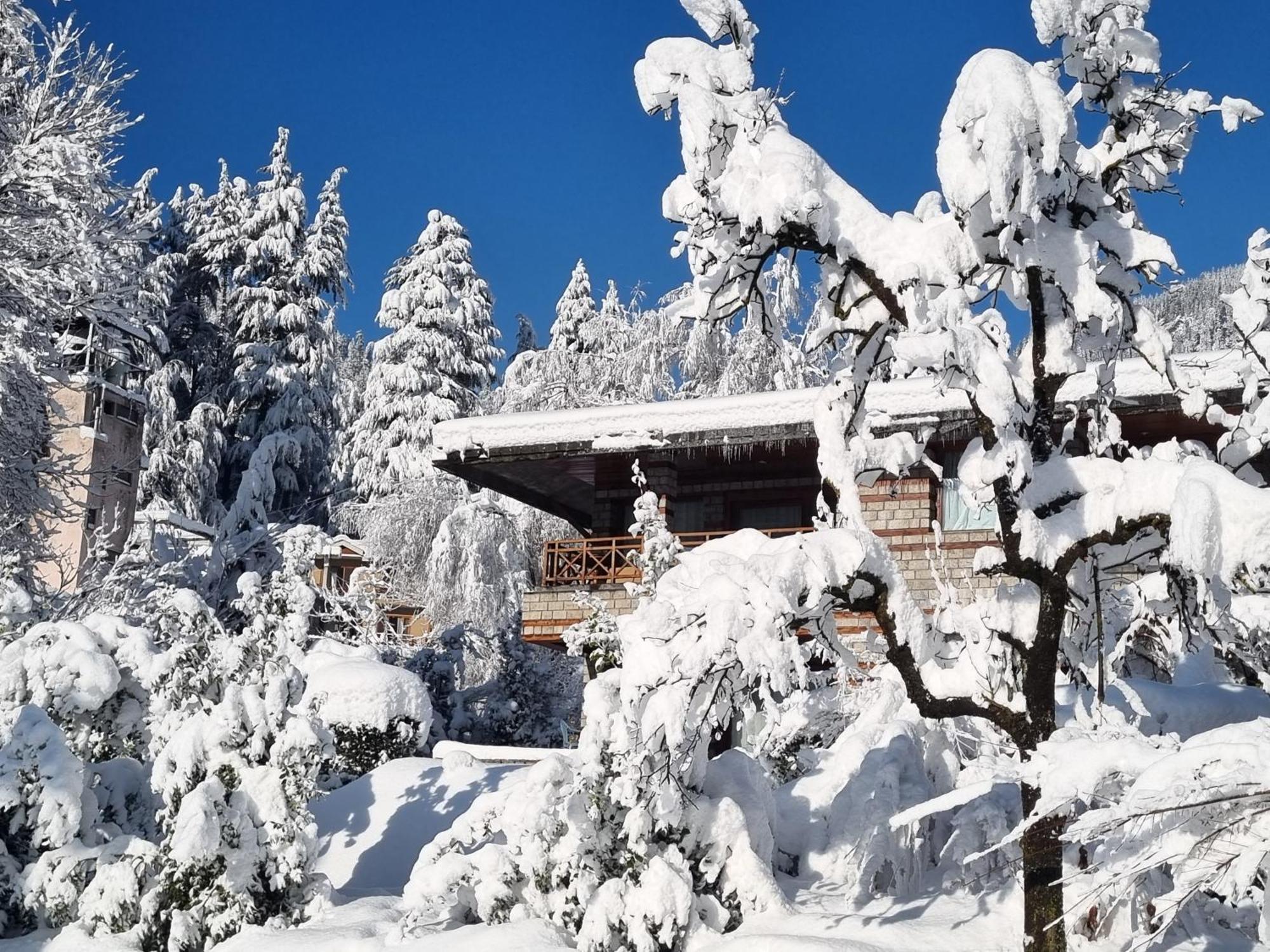 Banon Resorts Manāli Dış mekan fotoğraf