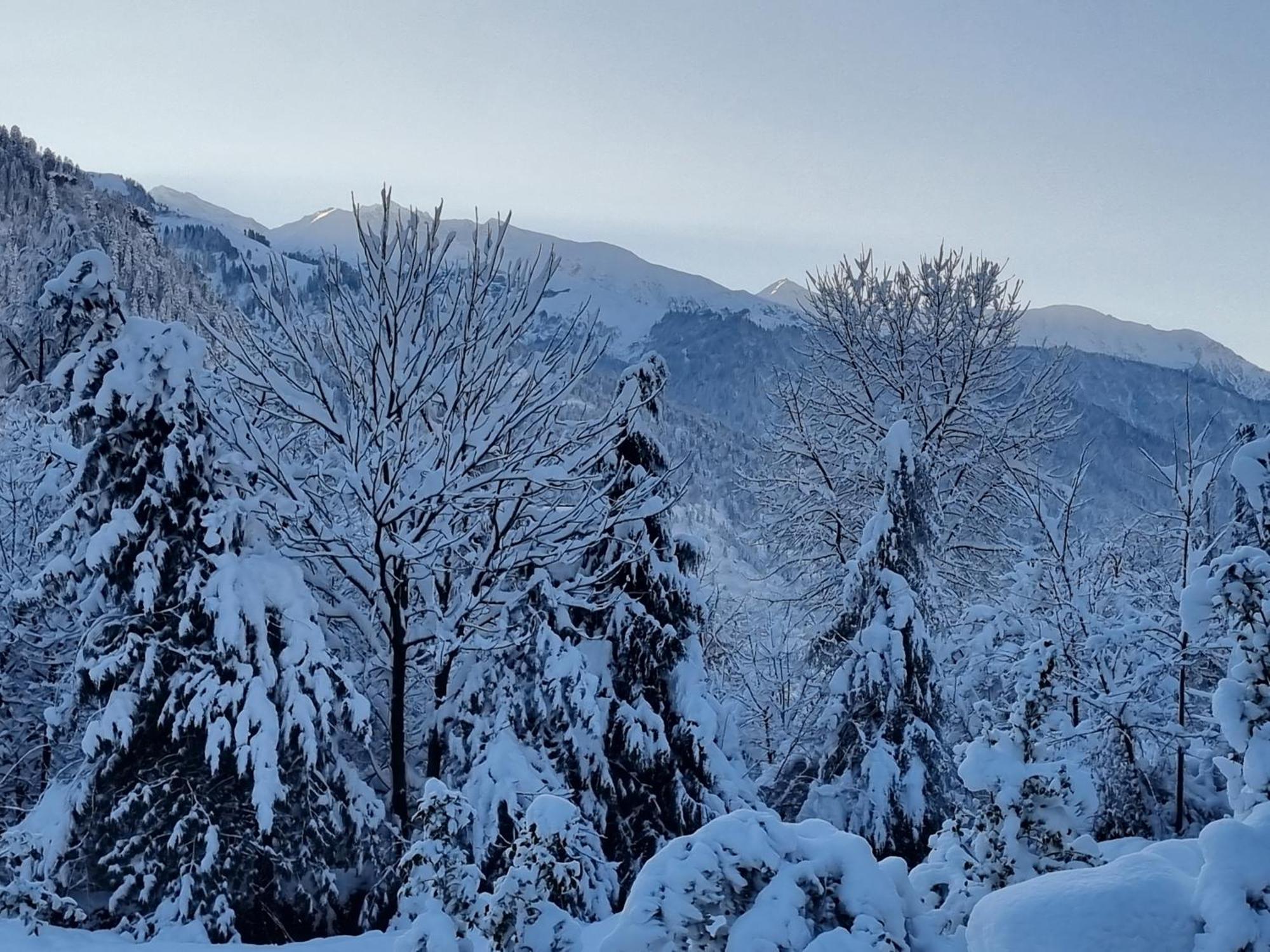 Banon Resorts Manāli Dış mekan fotoğraf